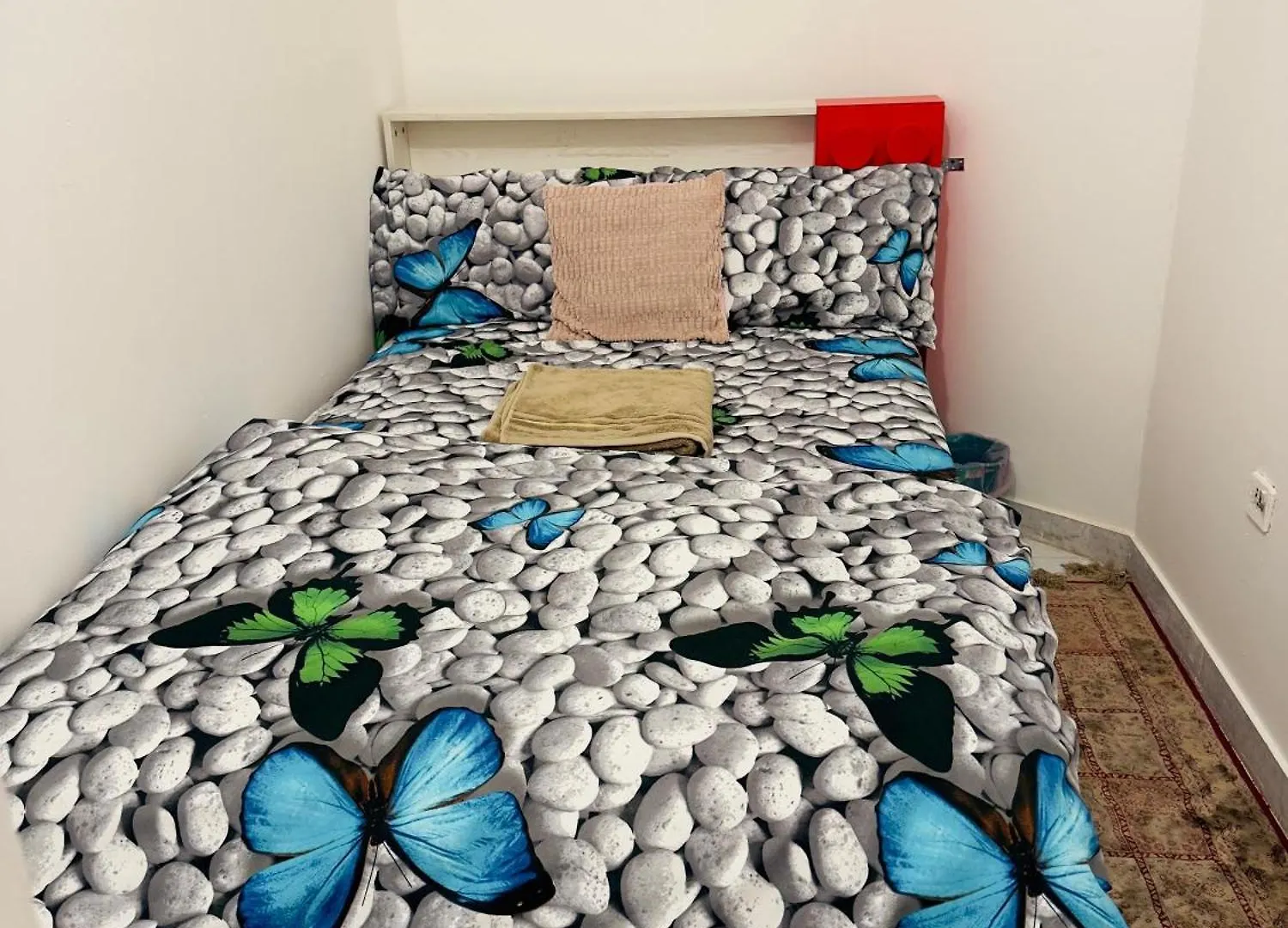 Homestay The Cozy Home Abu Dhabi